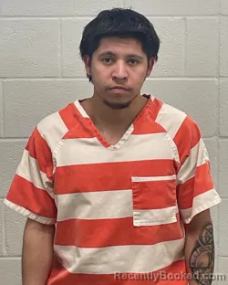 Mugshot of DIEGO PEDRO MORALES CORDERO