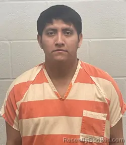 Mugshot of DANIEL MIL TEMICH