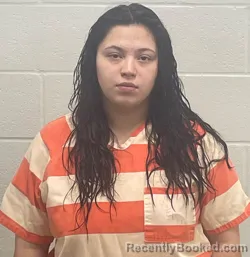 Mugshot of LIZBETH MONTES PEREZ