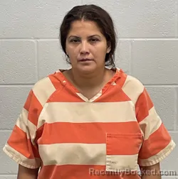 Mugshot of REYNA MERCEDES ALCERRO FLORES