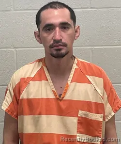 Mugshot of MELKIN JOEL ALVARENGA ALEMAN