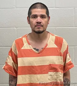 Mugshot of DAVID LEE GARCIA