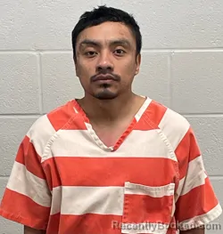 Mugshot of JOSE JAVIER CASTILLO MONTANO
