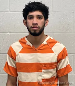 Mugshot of JAIRO M OPORTA GARCIA