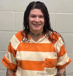 Mugshot of CHRISTINA MICHELLE AULER