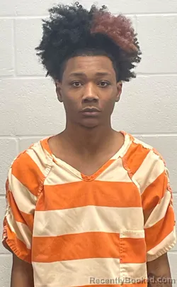 Mugshot of JAMIR DANGERFIELD