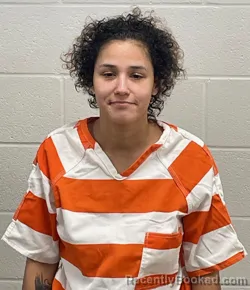 Mugshot of NIKKITA BROWN