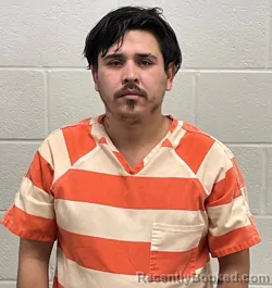 Mugshot of JAIME F GONZALEZ LOPEZ