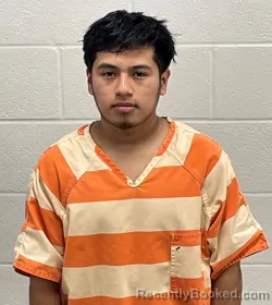 Mugshot of BRYAN E GONZALEZ ACETUN