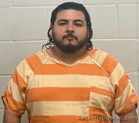 Mugshot of RICARDO MARTINEZ