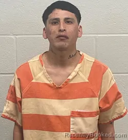 Mugshot of LUIS DAVID CHULCA ASIMBAYA