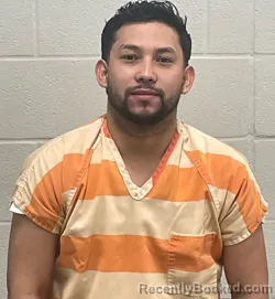Mugshot of ELYIN CASTILLO GARCIA
