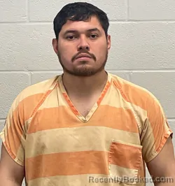 Mugshot of ARIEL O HERNANDEZ ARGUETA