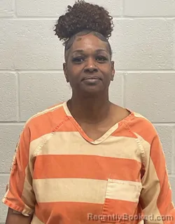 Mugshot of KYLA HUDSON