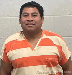 Mugshot of CARLOS HUMBERTO GALLO ALVAREZ booked in Fulton County, Indiana on March 17, 2026