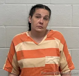 Mugshot of HEATHER OBANION booked in Fulton County, Indiana on March 19, 2026