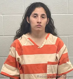 Mugshot of DILCIA MARINA MEJIA     MEJIA FLORES booked in Fulton County, Indiana on March 25, 2026