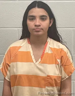 Mugshot of ANGIE PAOLA MURILLO EFREZ booked in Fulton County, Indiana on March 26, 2026