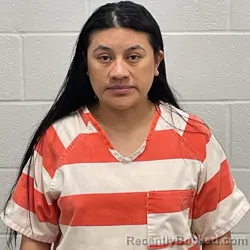 Mugshot of LETICIA HERNANDEZ PEREZ booked in Fulton County, Indiana on March 31, 2026