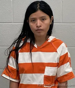 Mugshot of ELSA CHOC MACZ booked in Fulton County, Indiana on March 29, 2026