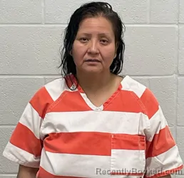 Mugshot of RITA ESCOBAR RODARTE booked in Fulton County, Indiana on March 29, 2026