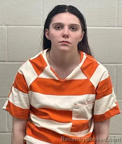 Mugshot of BRANDY LYNNE WILSON booked in Fulton County, Indiana on March 30, 2026