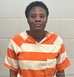 Mugshot of MARIE DORNEVAL booked in Fulton County, Indiana on April 1, 2026