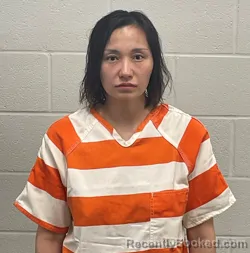 Mugshot of JING WANG booked in Fulton County, Indiana on April 2, 2026