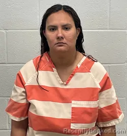 Mugshot of FRIDA S RODRIGUEZ MORENO booked in Fulton County, Indiana on April 29, 2026