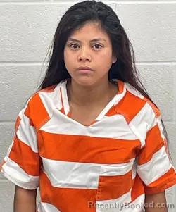 Mugshot of ANA PEREZ RAYMUNDO booked in Fulton County, Indiana on May 17, 2026