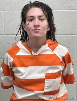 Mugshot of JESSICA LYNN ROBIN booked in Fulton County, Indiana on April 28, 2026