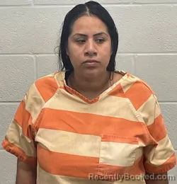 Mugshot of Andrea Ceballos Ortiz booked in Fulton County, Indiana on October 5, 2026
