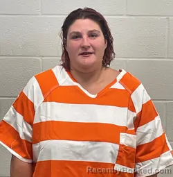 Mugshot of Ashley Nicole Dille booked in Fulton County, Indiana on September 15, 2026