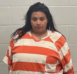 Mugshot of Irene Garcia booked in Fulton County, Indiana on September 11, 2026