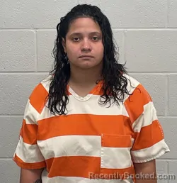 Mugshot of Adriana Menocal Cisnados booked in Fulton County, Indiana on August 25, 2026