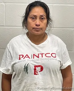 Mugshot of Helda Mendez Merida booked in Fulton County, Indiana on September 3, 2026