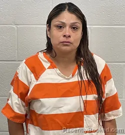 Mugshot of Lizbeth Yadira Medina Espinoza booked in Fulton County, Indiana on August 16, 2026