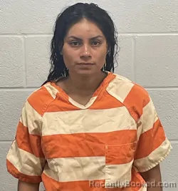 Mugshot of Brenda Ramirez Medina booked in Fulton County, Indiana on October 10, 2026