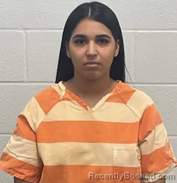 Mugshot of Jeraldinth Andreina Rojas Arismendi booked in Fulton County, Indiana on September 6, 2026