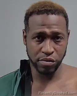 Mugshot of DARYL DONNELL DULANEY