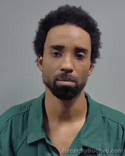 Mugshot of CHRISTOPHER WILLIAM MCELROY