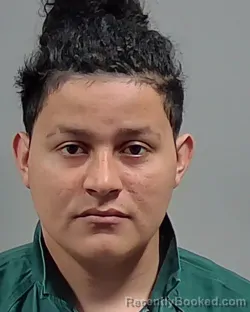 Mugshot of RODNEY JULIAN GUTIERREZ RAMOS