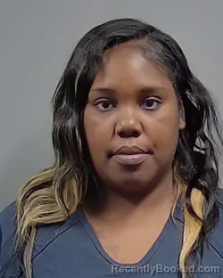 Mugshot of LASHANAY UNIQUE HOGGES