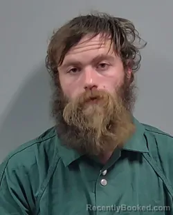 Mugshot of ANDREW DALTON HOLMES