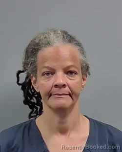 Mugshot of SHANITTA MICHELLE JOHNSON