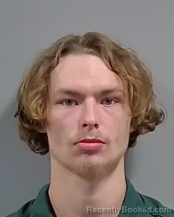 Mugshot of ADIN MICHAEL ROBERTSON