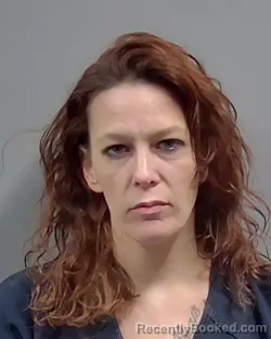 Mugshot of TONI LYNN FROST