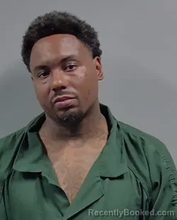 Mugshot of TIRRELL TYRONE PALMER