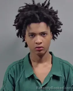 Mugshot of CHARM NEVAH FAILS