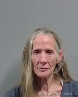 Mugshot of CYNTHIA ANNA VILES